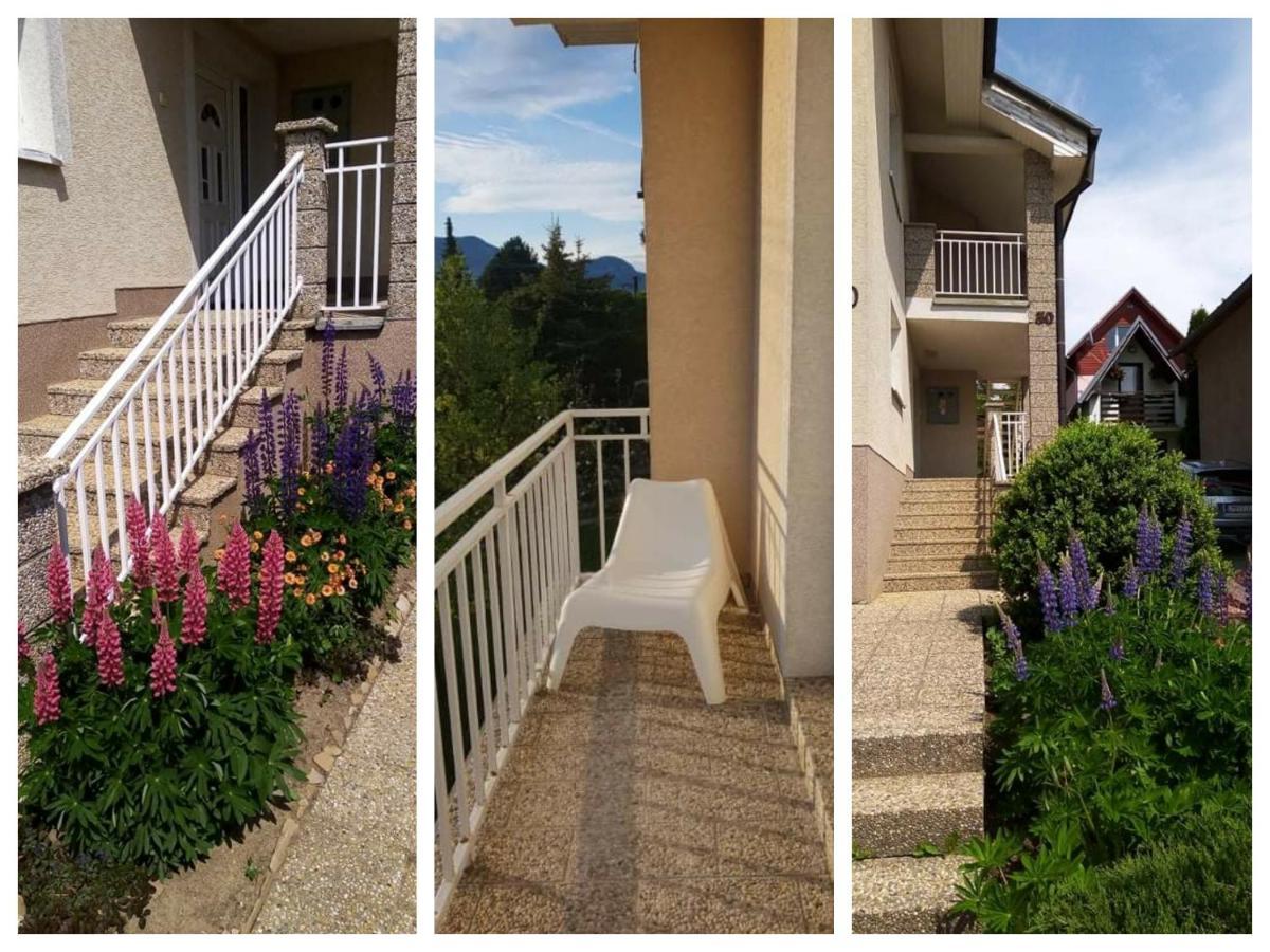 Apartments Lakeview Liptovský Trnovec Dış mekan fotoğraf